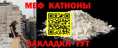 индика Кингисепп